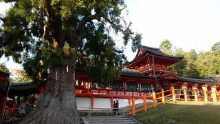 ２０年に一度の式年造替