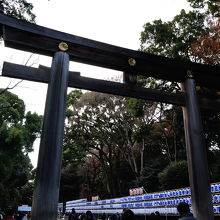 明治神宮 大鳥居 