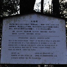 明治神宮 大鳥居 