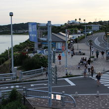展望デッキから見た公園です