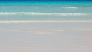 ニンガルー・コースト