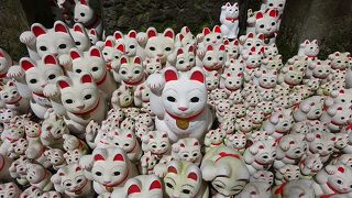 招き猫と井伊直弼