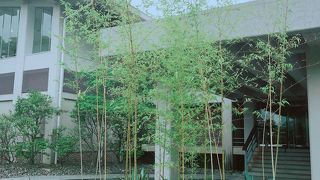 ケーキセットを食べる