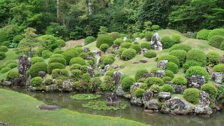 小堀遠州の作庭、龍潭寺 庭園。