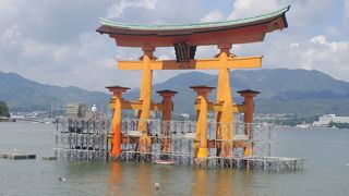 大鳥居は改装工事中