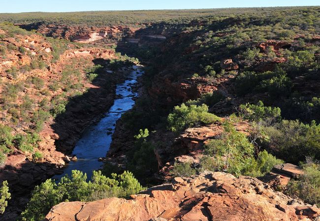 深い渓谷の底を縫うように流れるマーチソン川