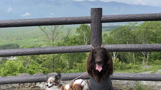 犬も乗れる  八ヶ岳 富士見高原  天空の遊覧カート