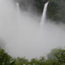 諦めて帰りかけたとき霧が晴れてきました！