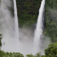 全容を見せてくれました