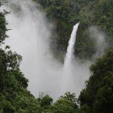 また隠れていきました