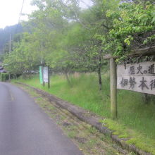 一本道で歩きやすかったです（正確には自転車利用ですが…）