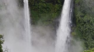 雨降りでしたが幸運にも拝むことができました！！