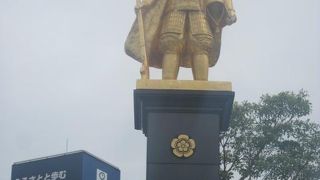 隣接のイロハモミジにも御注目下さい。