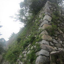 石垣の様子１