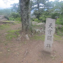 凄く素朴な風情の天守閣跡石碑の様子