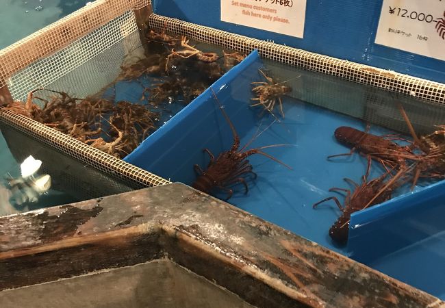 ざうお 難波本店 クチコミ アクセス 営業時間 ミナミ 難波 天王寺 フォートラベル ざうお 難波本店 クチコミ アクセス 営業時間 ミナミ 難波 天王寺 フォートラベル
