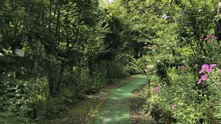 こじんまりとした植物園