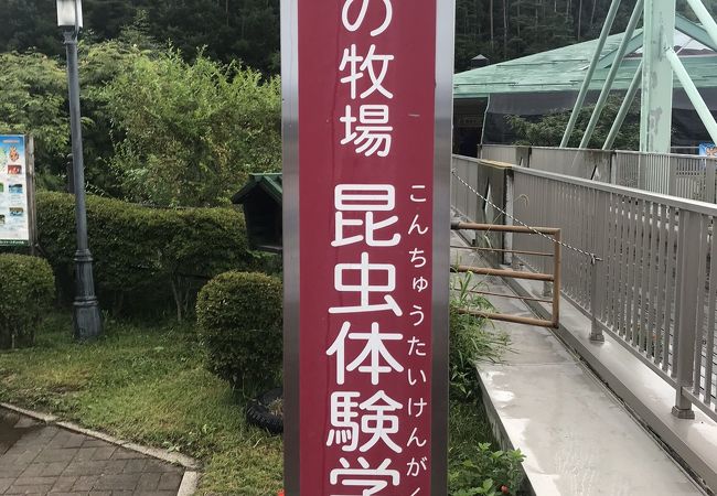 昆虫体験学習館