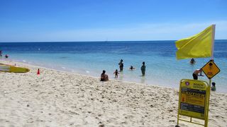 海岸近くでも魚を見ることはできます。