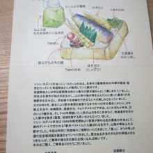 このような丁寧な解説書も添付されていました。