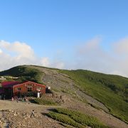 登山道は酷道です。