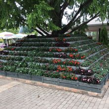 有料 エリア入ってすぐ。