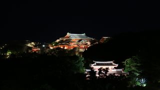 ライトアップを見に訪問しました。