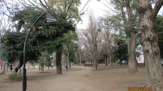 動物園、博物館、美術館などを含む大きな公園