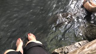 散策途中の癒しスポット♪