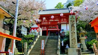 桜がすばらしい