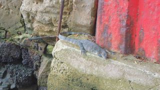 観光エリアの真ん中を流れる小さな川