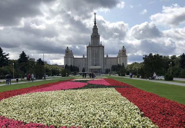 迫力あります。