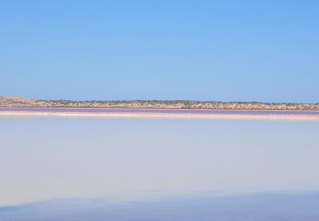 ピンクレイク (ハットラグーン)