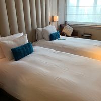 デラックスツイン