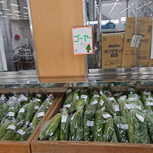 ゴーヤもたっぷり！