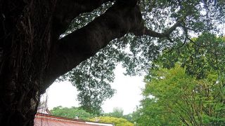 お金持ちが作った自分のための小さな極楽