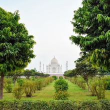 対岸のタージも良いですが、庭園にも目を向けてほしいですね♪