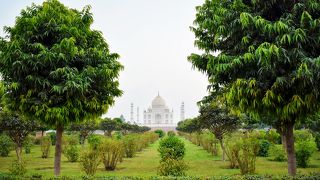 川を挟んで眺めるタージマハル