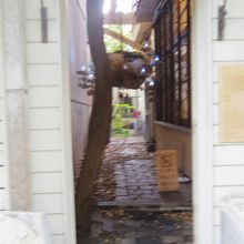 北浜アリーにあったアート