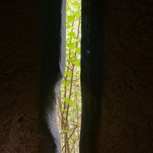 狭間からの新緑が美しい