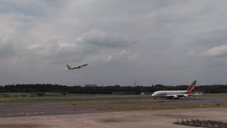 いろいろな飛行機が見られます