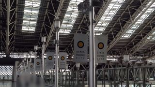 目に入るもの全てが輝いているよう