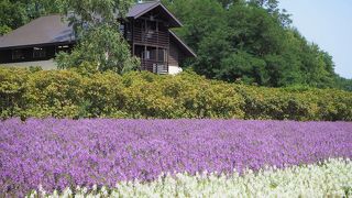 富良野では外せない代表的な観光地！