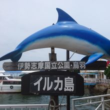 至って普通のイルカショーだと思いました By トーキュー イルカ島のクチコミ フォートラベル