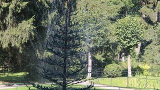 様々な形をした噴水があります