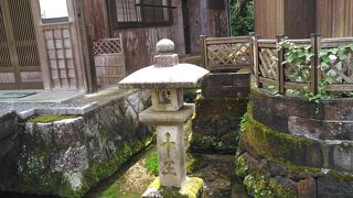 豊富な湧水と歴史