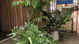 二子玉川ライズ