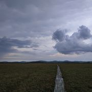 あまりないとは思いますが、もし空港で時間を持てあましたら……。