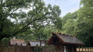 別宮八剣宮は、熱田神宮で本宮の次に見応えのある建物です！