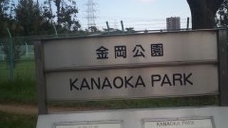 ふんわりとした印象を受けました